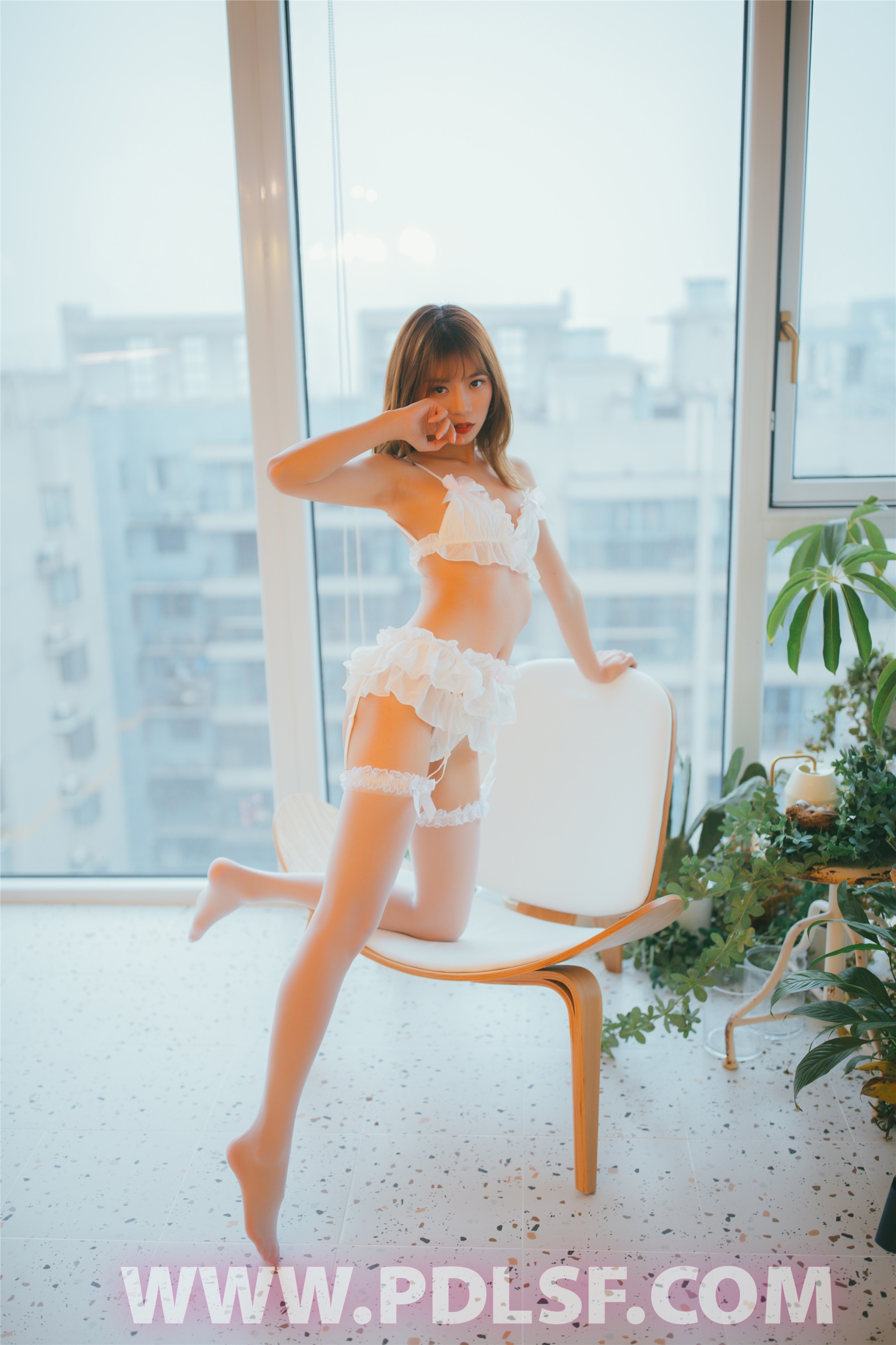 PDL潘多拉 2020.02.09 专辑No.279